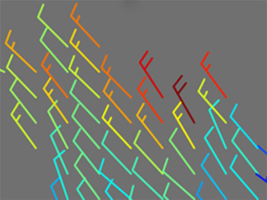 Image of multiple wind barbs.